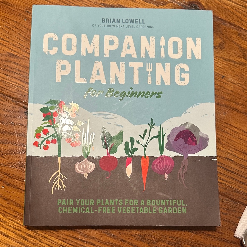 Companion Planting for Beginners — Blue & Brown Gardening Guide